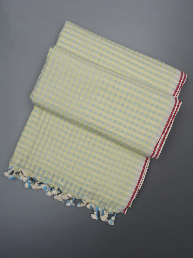 Pastel Green Checks - Handloom Cotton Saree