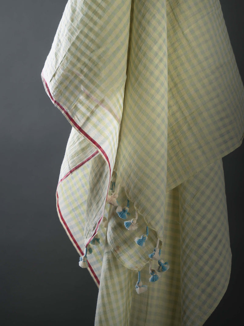 Pastel Green Checks - Handloom Cotton Saree