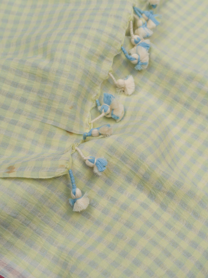 Pastel Green Checks - Handloom Cotton Saree
