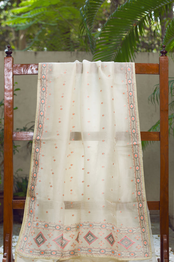 Elegant Beige Silk Organza Saree with Embroidered Borders