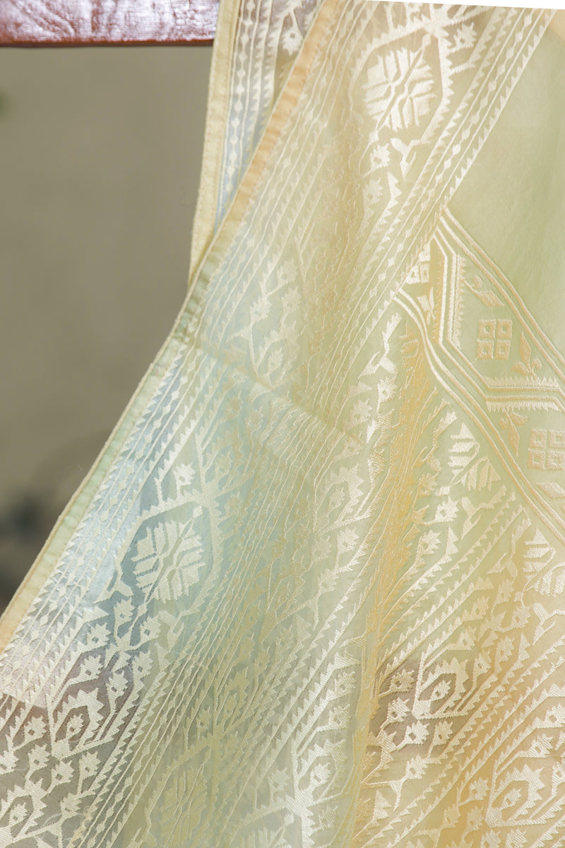 Elegant organza saree with delicate white thread embroidery on border