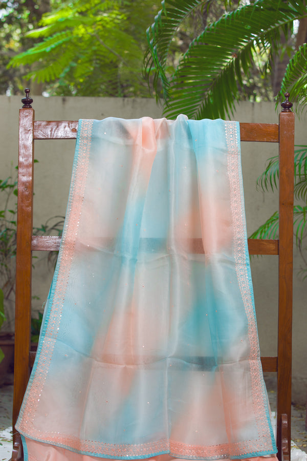 Elegant Stardust Organza Silk Saree with Intricate Border Detail