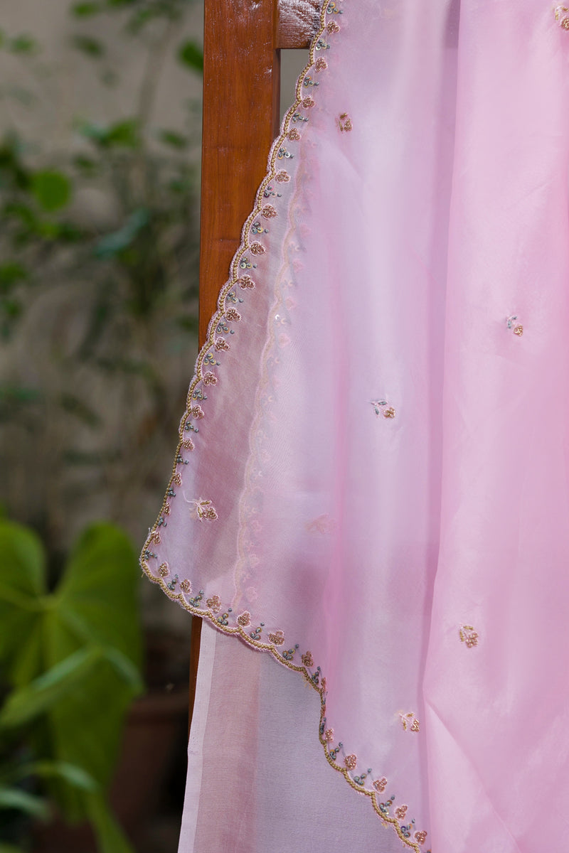 Fairyland Organza Silk Saree showcasing delicate pastel floral details and intricate borders.