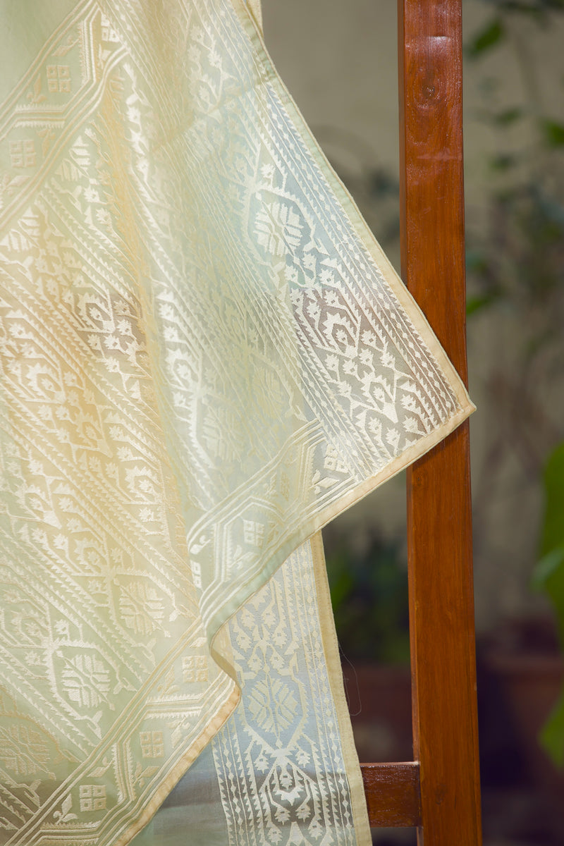 Jamdani inspired embroidered organza saree for festive and bridal wear