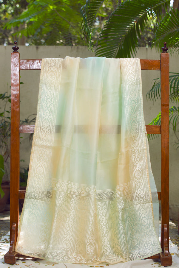 Sheer organza saree featuring intricate Jamdani style woven embroidery