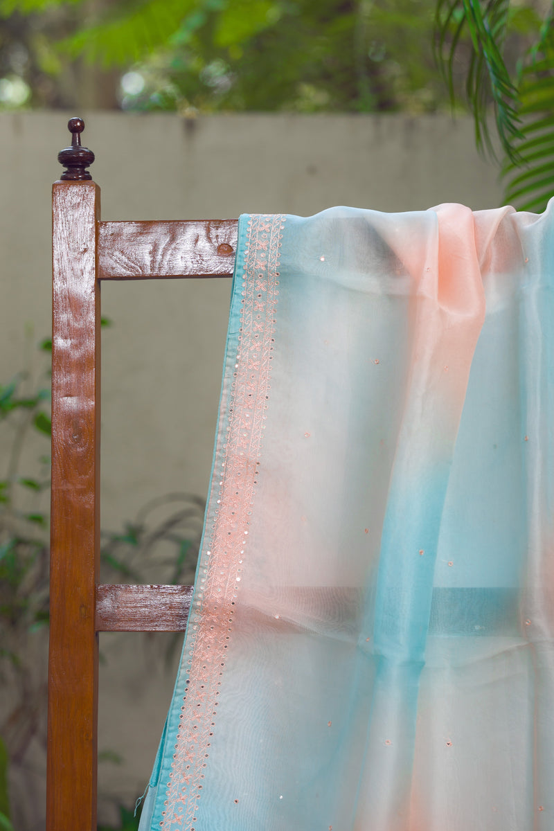 Soft Pink and Blue Organza Saree with Delicate Embroidery Work